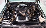 1978 Nova Thumbnail 2