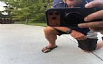 1970 Chevelle Thumbnail 2