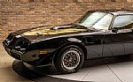 1979 Trans Am Special Edition Thumbnail 7