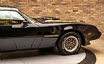 1979 Trans Am Special Edition Thumbnail 10
