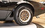 1979 Trans Am Special Edition Thumbnail 14