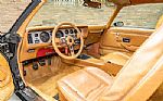 1979 Trans Am Special Edition Thumbnail 47