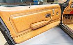1979 Trans Am Special Edition Thumbnail 52