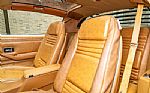 1979 Trans Am Special Edition Thumbnail 53