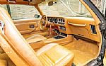 1979 Trans Am Special Edition Thumbnail 63