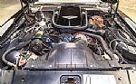 1979 Trans Am Special Edition Thumbnail 71