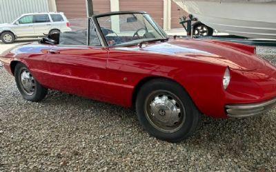 Photo of a 1967 Alfa Romeo Spider Duetto 1967 Alfa Romeo Duetto for sale