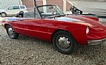 1967 Spider Duetto Thumbnail 1