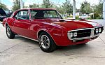 1967 Firebird Thumbnail 4