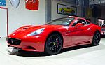 2010 California Spider Thumbnail 4