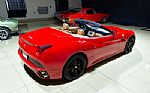 2010 California Spider Thumbnail 23