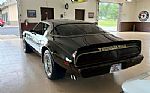 1979 Trans Am Low Miles 4 Speed Thumbnail 6
