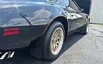 1979 Trans Am Low Miles 4 Speed Thumbnail 29