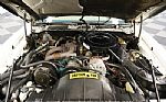 1980 Firebird Trans Am Turbo Pace C Thumbnail 3