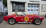 1966 Cobra Thumbnail 2