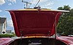 1966 Cobra Thumbnail 30