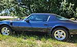 1977 Firebird Thumbnail 3