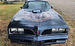 1977 Firebird Thumbnail 10