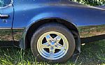 1977 Firebird Thumbnail 15