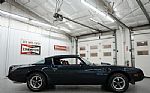 1975 Trans Am Thumbnail 18