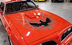 1977 Firebird Trans Am Thumbnail 19