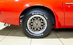 1978 Trans Am Thumbnail 21