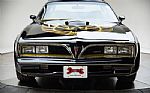 1978 Trans Am Thumbnail 21