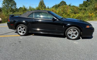 Photo of a 2001 Ford Mustang Cobra Convertible for sale