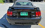 2001 Mustang Cobra Convertible Thumbnail 5