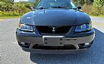 2001 Mustang Cobra Convertible Thumbnail 4