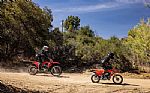 2027 CRF Thumbnail 5