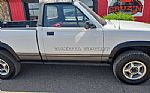 1989 Dakota Thumbnail 5