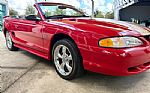 1997 Mustang Thumbnail 19