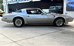 1979 Firebird Thumbnail 5