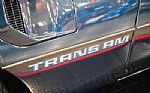 1979 Trans Am Thumbnail 51