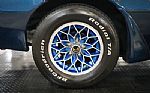 1979 Trans Am Thumbnail 56