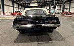 1969 Firebird Thumbnail 6