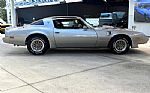 1979 Firebird Thumbnail 5