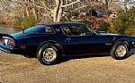 1978 Firebird Trans Am Y84 Special Thumbnail 2