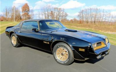 1978 Pontiac Firebird Trans Am Y84 Special