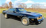1978 Firebird Trans Am Y84 Special Thumbnail 1