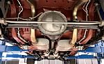 1978 Firebird Trans Am Y84 Special Thumbnail 6