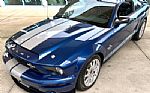 2009 Shelby GT500 Thumbnail 20