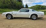 1976 Firebird Trans Am Thumbnail 6