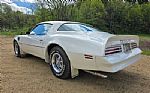 1976 Firebird Trans Am Thumbnail 5