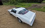 1976 Firebird Trans Am Thumbnail 11