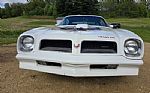 1976 Firebird Trans Am Thumbnail 8