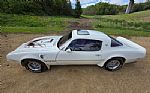 1976 Firebird Trans Am Thumbnail 10