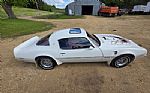 1976 Firebird Trans Am Thumbnail 14