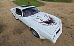 1976 Firebird Trans Am Thumbnail 15